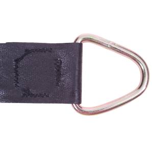 Ratchet-Strap-With-D-Ring-for-Roll-Tarps-flipped